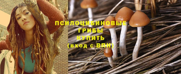 синтетический гашиш Арсеньев